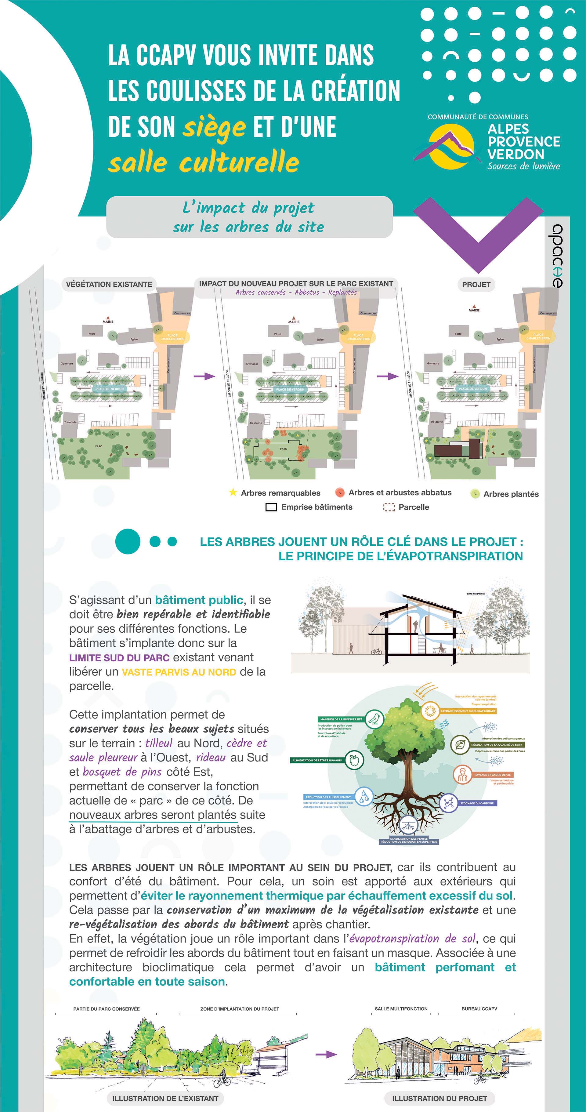 Création siège CCAPV impact sur les arbres du site