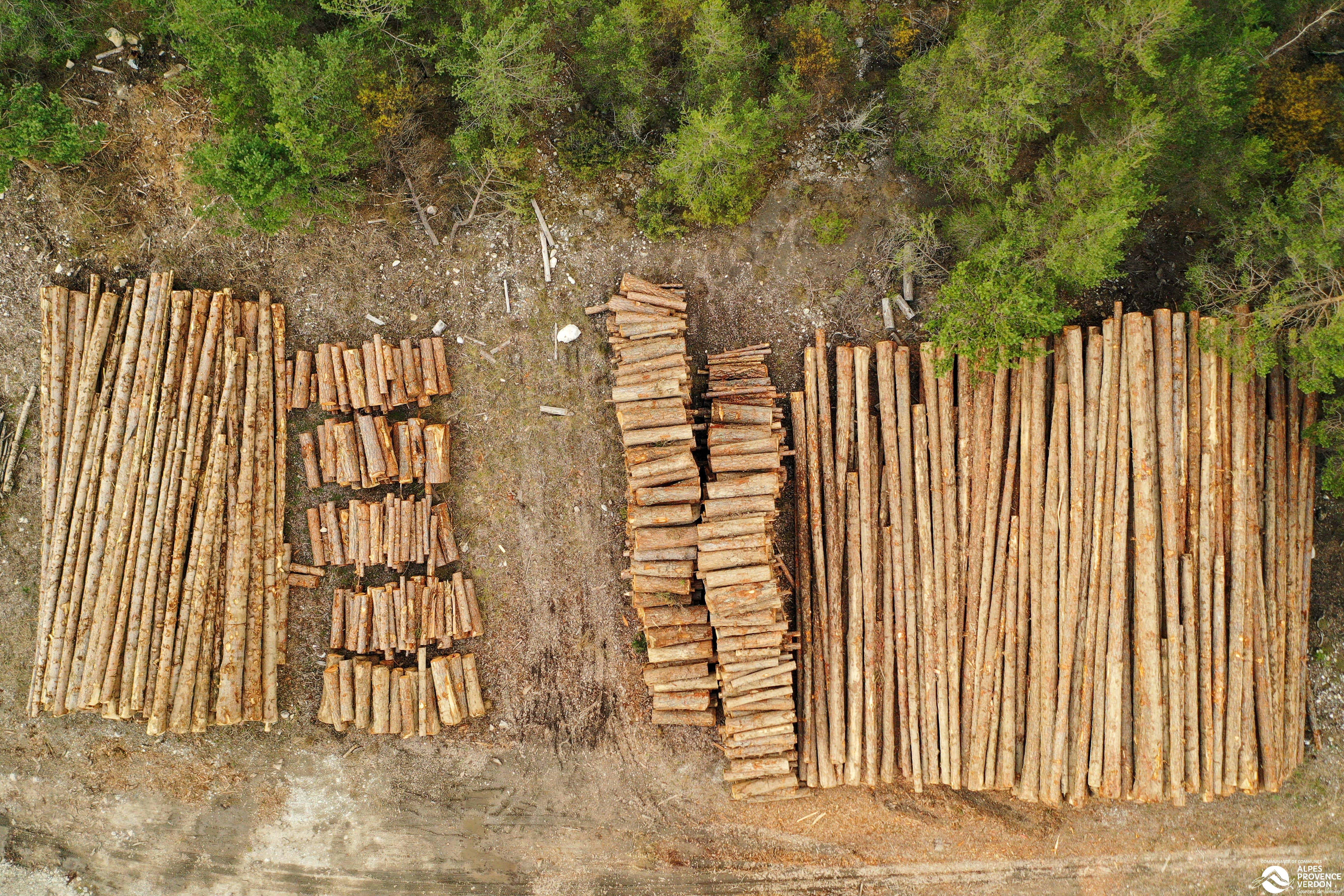 Bois et forêt 4