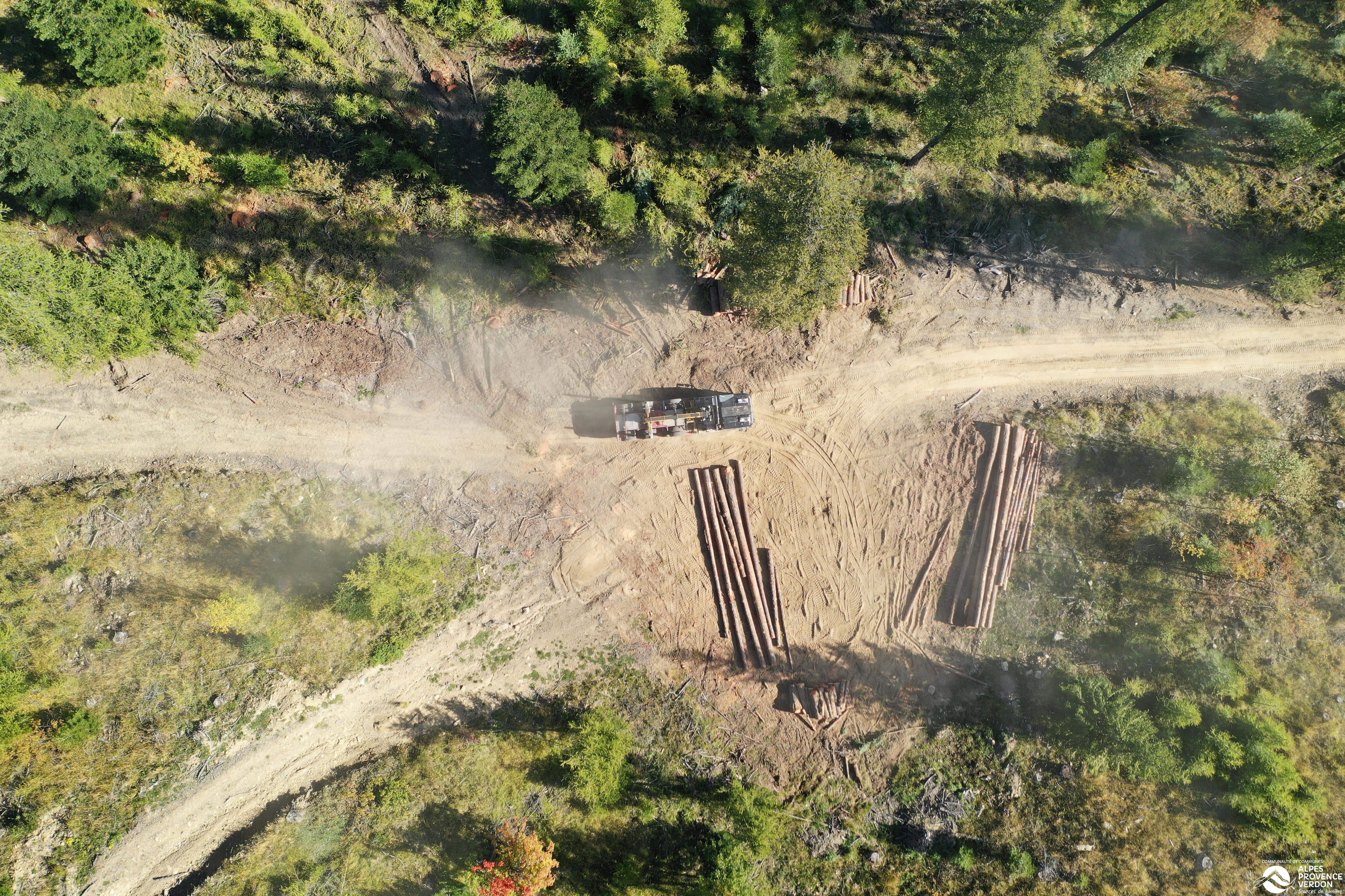 Bois et forêt 9