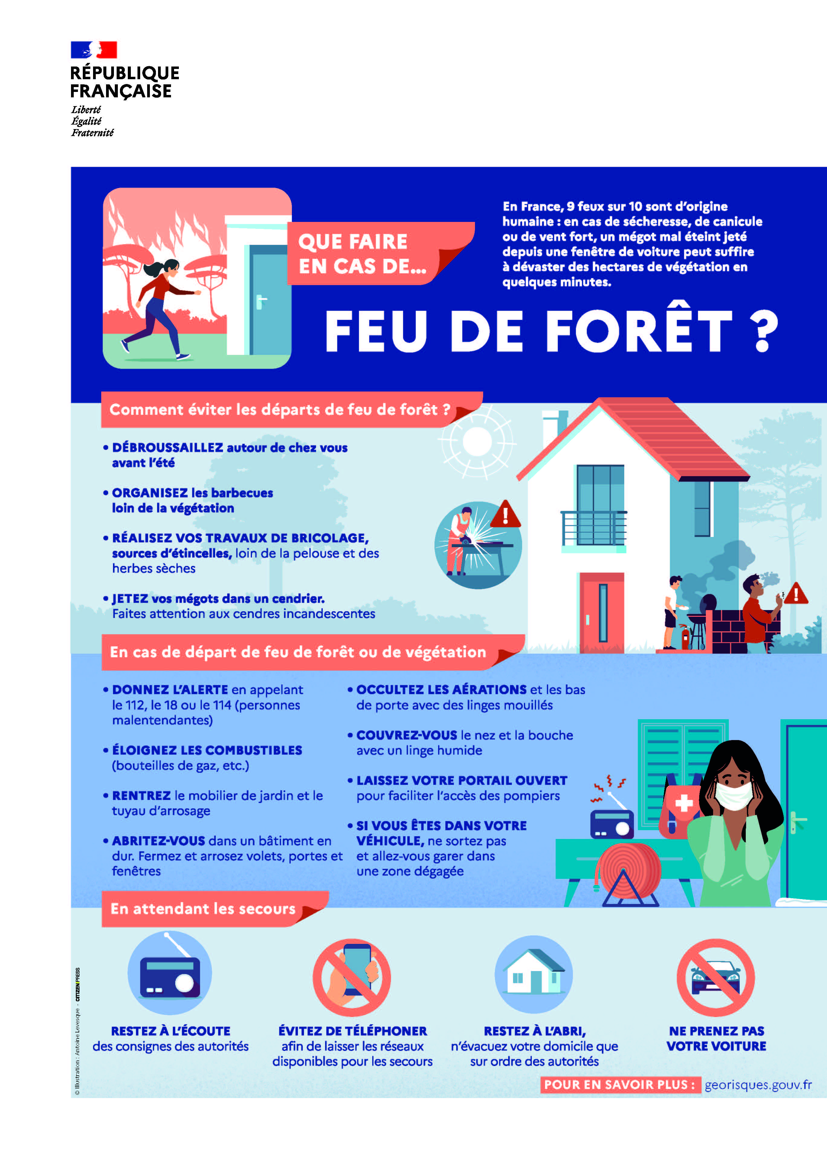 Affiche FEU FORET